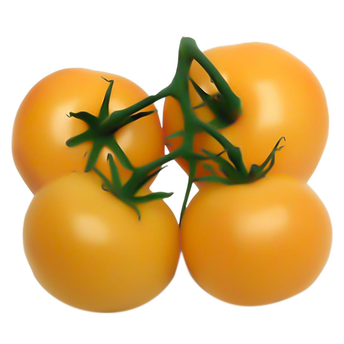 Orange Tomato Bunch