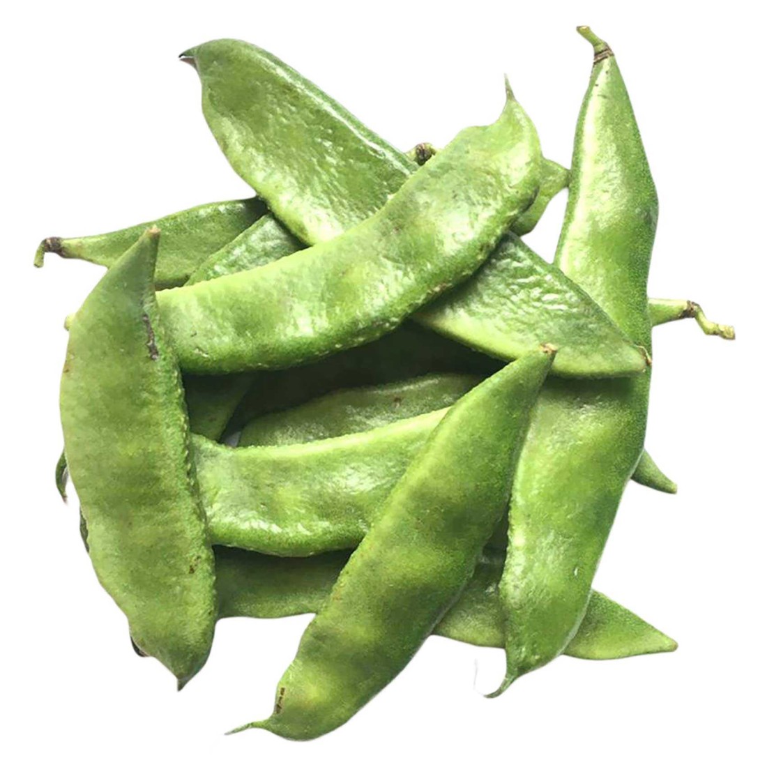 Papidi