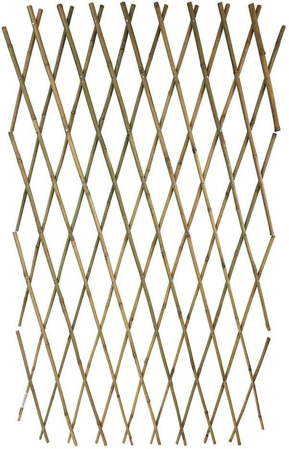 Egardenkart® Trellis Bamboo Plant Climbers (1, 90cm)