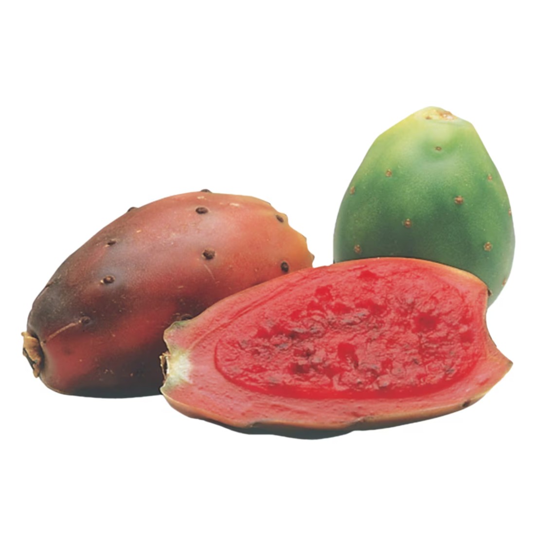 Prickly Pear