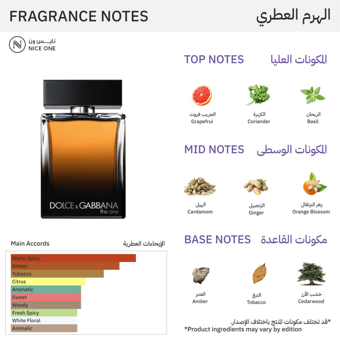 Dolce & Gabbana The One For Men - Eau de Parfum