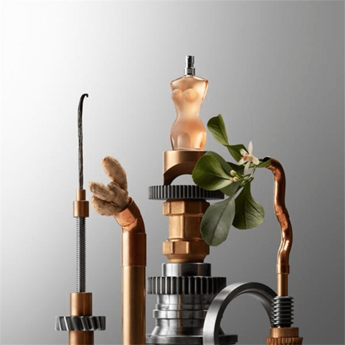 Jean Paul Gaultier Classique For Women - Eau De Toilette
