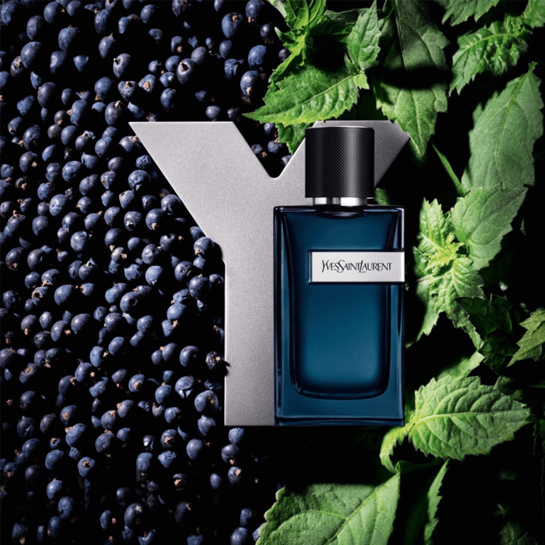 Yves Saint Laurent Y For Men - Eau de Parfum Intense