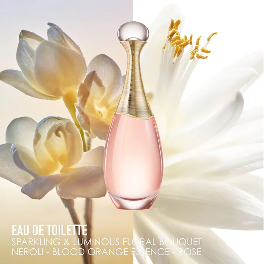 Dior J'adore for Women - Eau De Toilette
