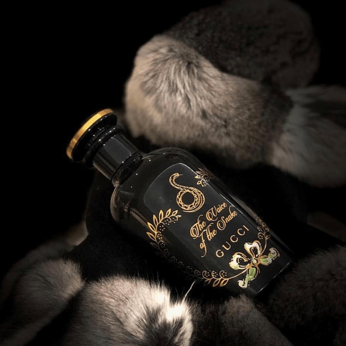 قوتشي عطر ذا فويس أوف ذا سنيك - او دو برفيوم