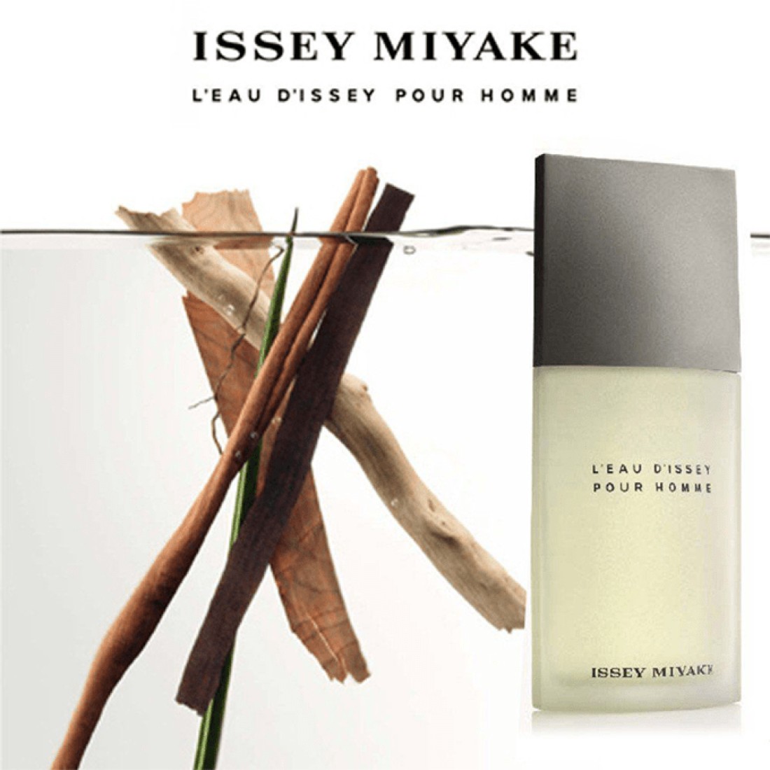 Issey Miyake Leau Dissey Pour Homme For Men - Eau De Toilette