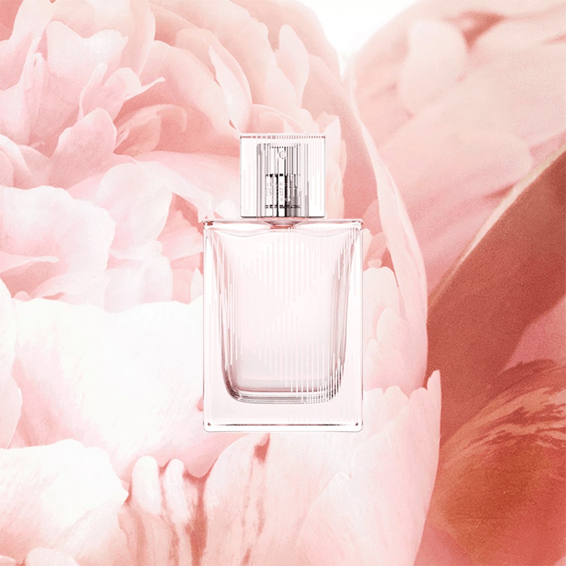 عطر بريت شيير من بربري للنساء - او دي تواليت