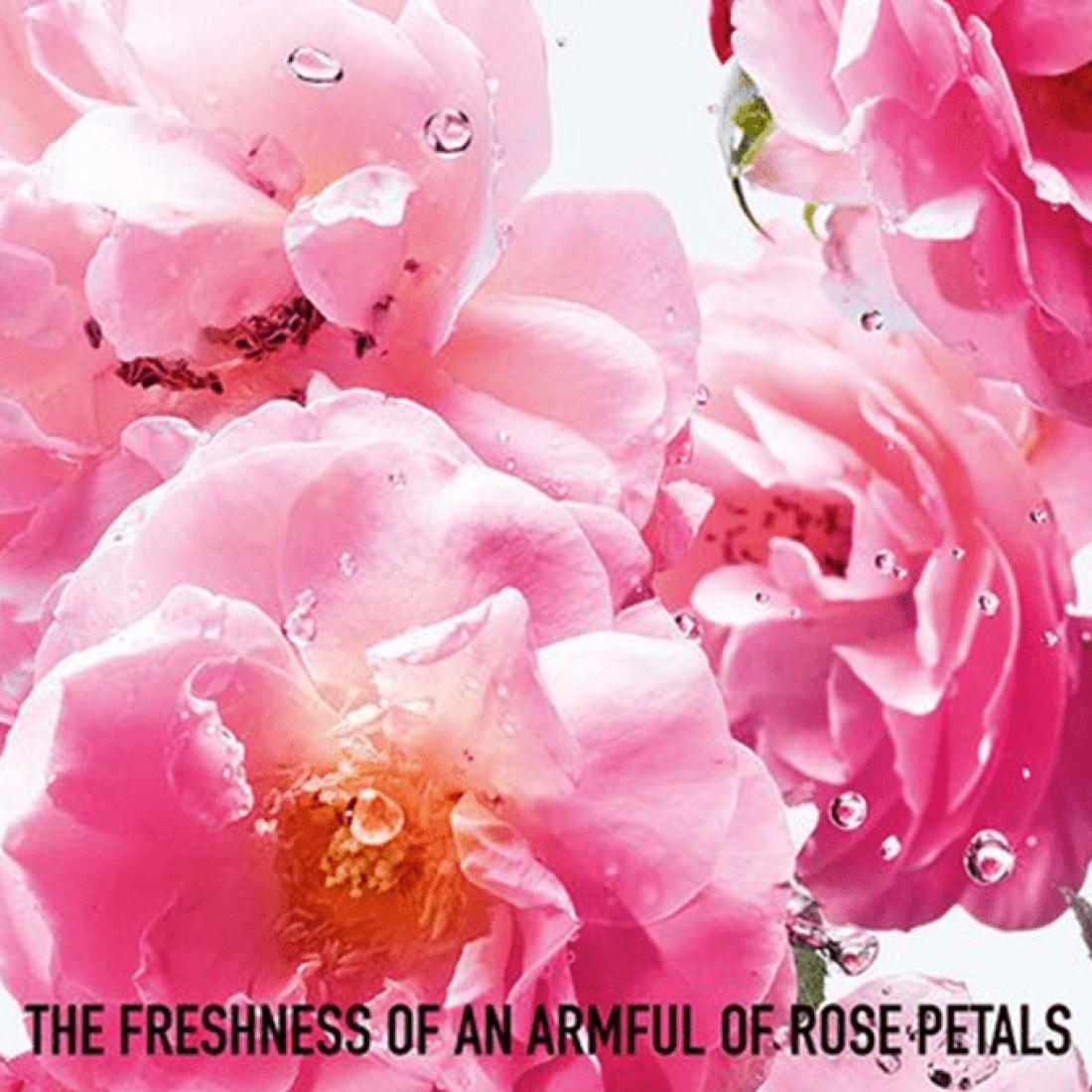 Dior Miss Dior Rose N Roses - Eau de Toilette