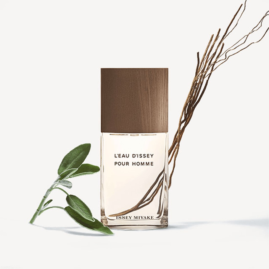 Issey Miyake L’eau D’Issey Pour Homme Vetiver For Men - Eau de Toilette Intense