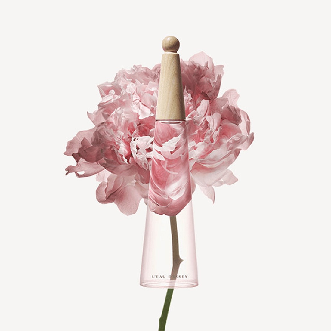 Issey Miyake L'eau D'Issey Pivoine For Women - Eau de Toilette Intense