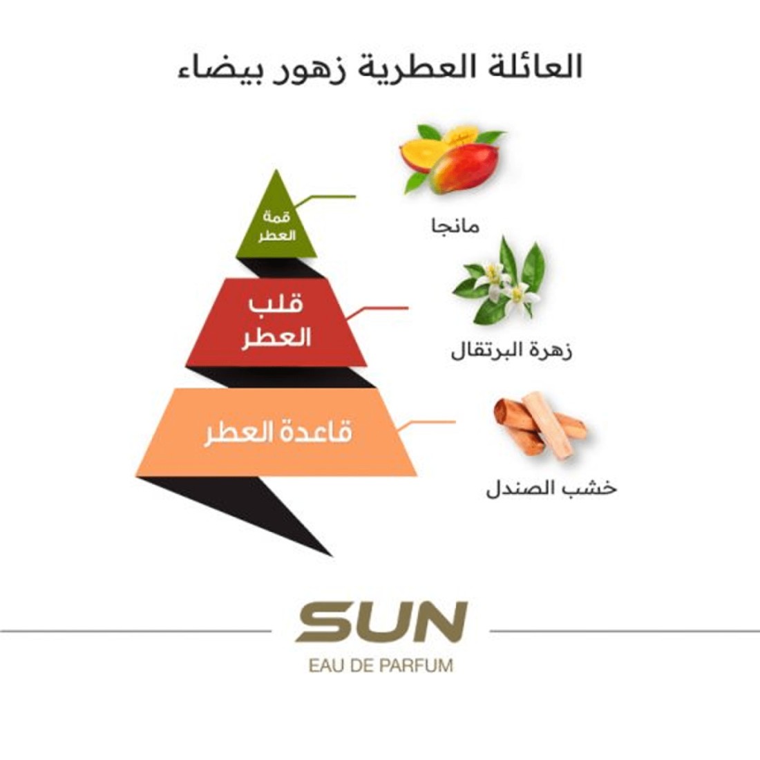 Al Majed Oud Sun Unisex - Eau De Parfum