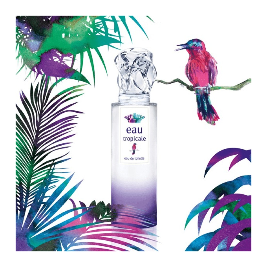 عطر ايو تروبيكال من سيسلي للنساء - او دي تواليت