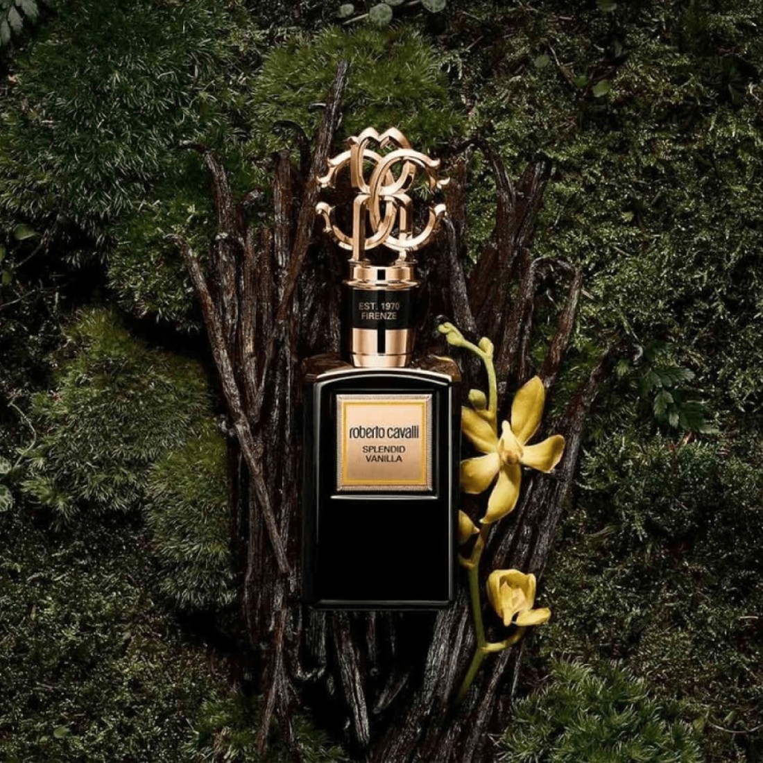 Roberto Cavalli Gold Splendid Vanilla - Eau de Parfum