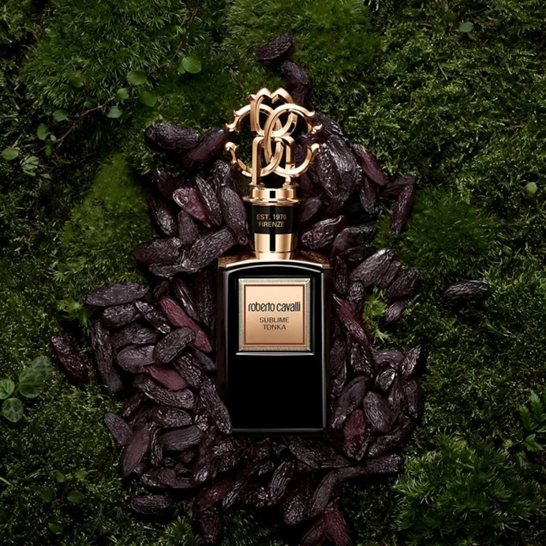Roberto Cavalli Gold Sublime Tonka - Eau de Parfum