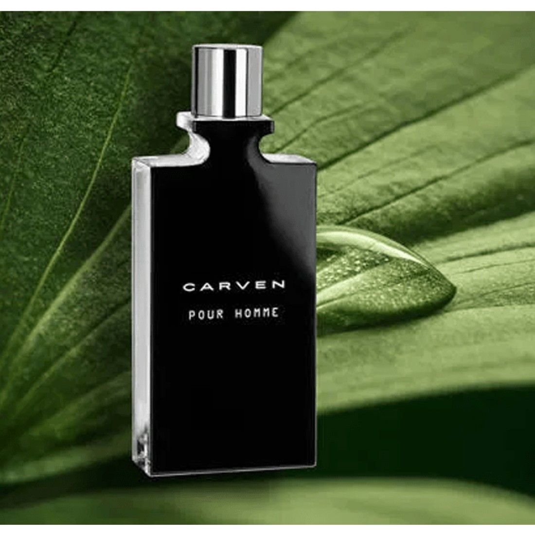 Carven Pour Homme For Men - Eau de Toilette
