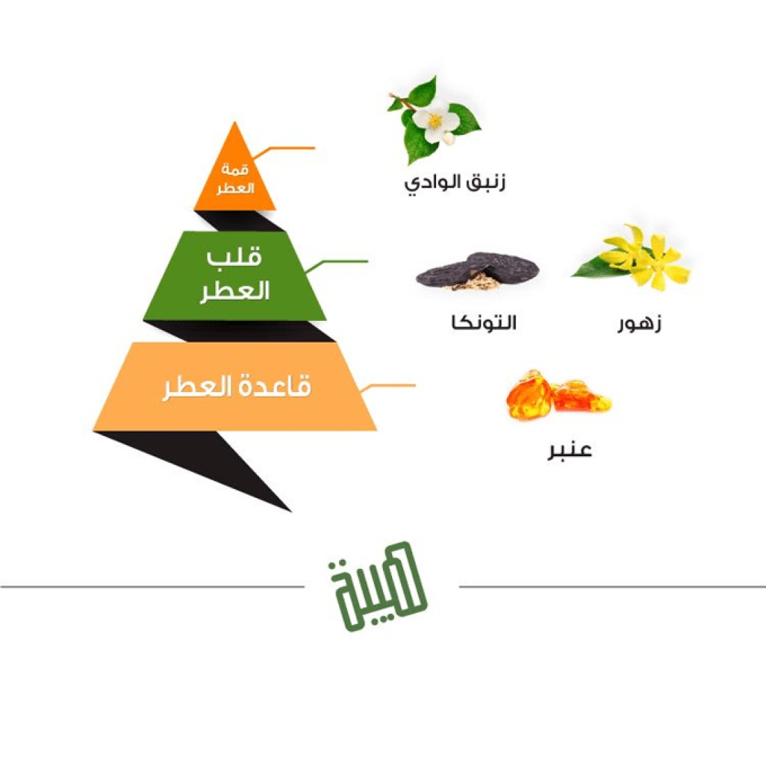Almajed Oud Hibah Green - Eau De Perfum