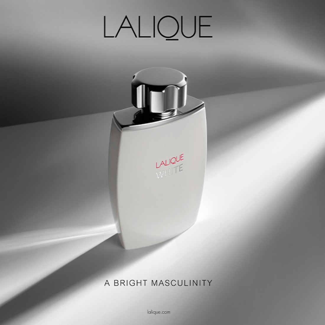 Lalique white For Men - Eau de Toilette