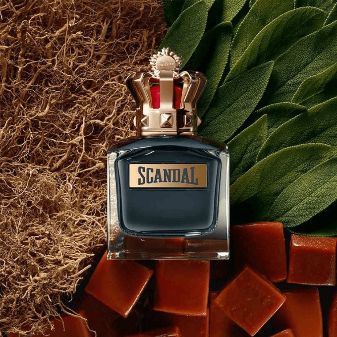 Jean Paul Gaultier Scandal Pour Homme For Men - Eau De Toilette