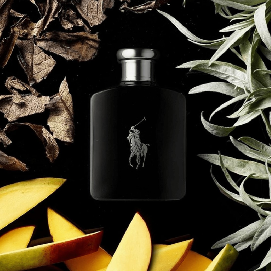 Ralph Lauren Polo Black For Men - Eau De Toilette