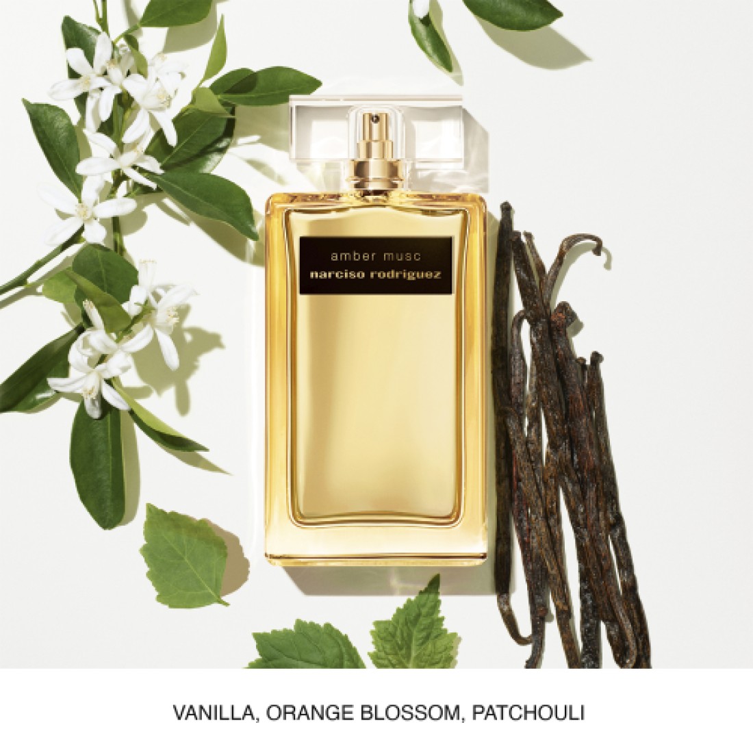 Narciso Rodriguez Amber Musc Intense for Women - Eau De Parfum