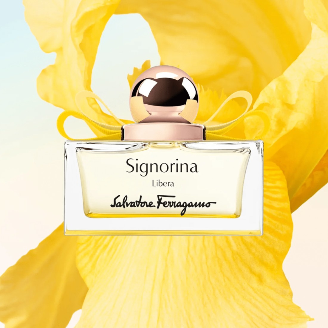 Salvatore Ferragamo Signorina Libra For Women - Eau De Parfum