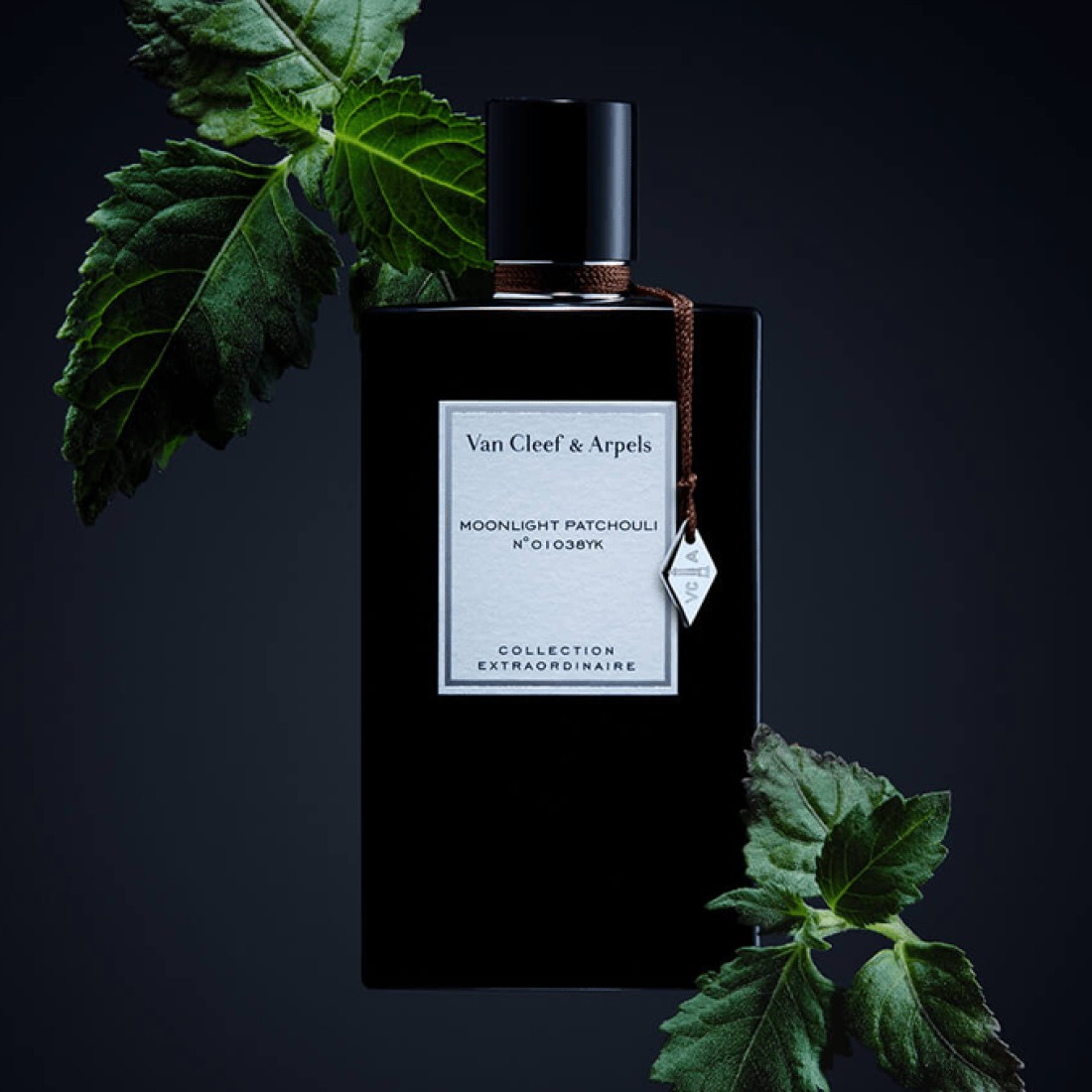 Van Cleef and Arpels Moonlight Patchouli - Eau De Parfum