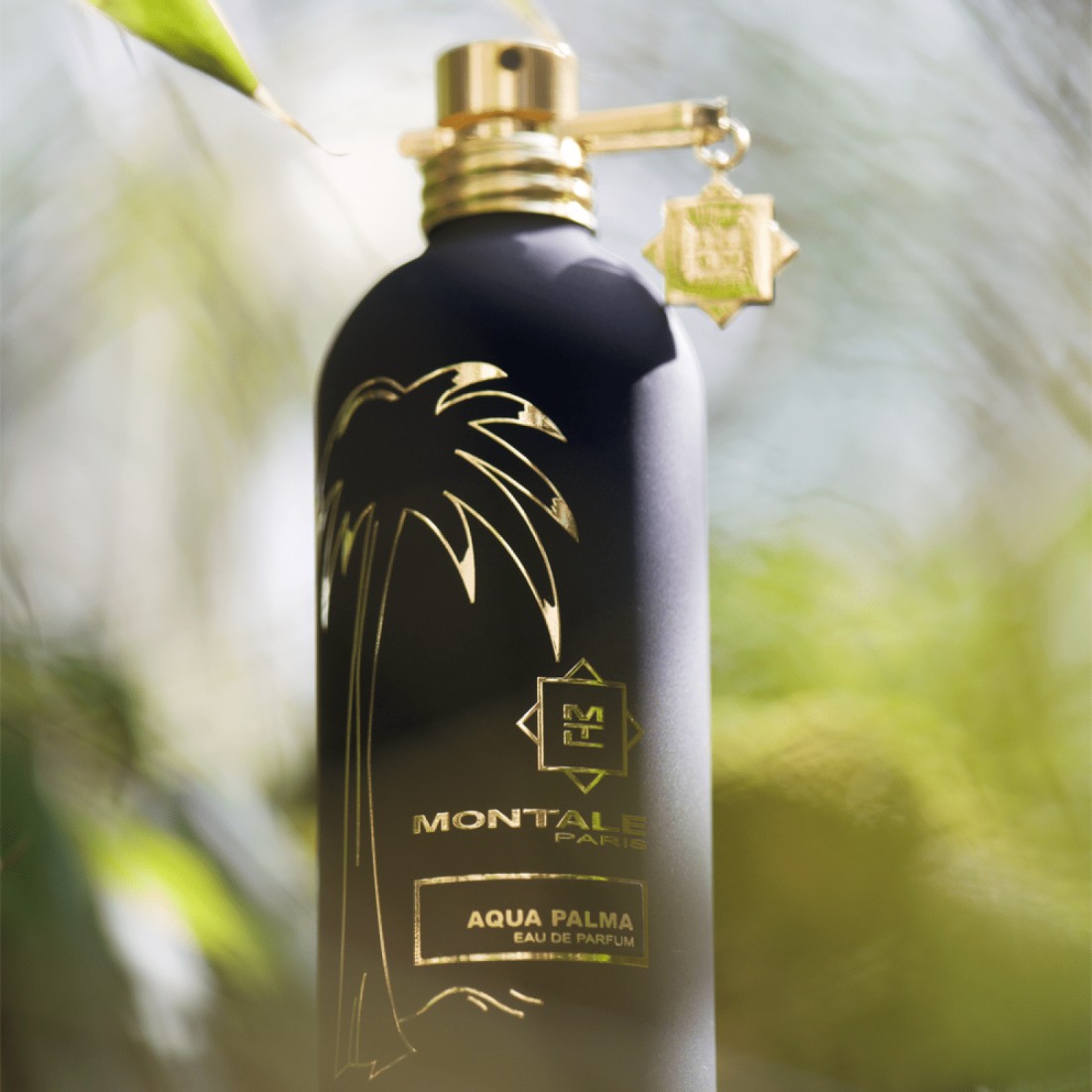 مونتال عطر اكوا بالما - او دو برفيوم