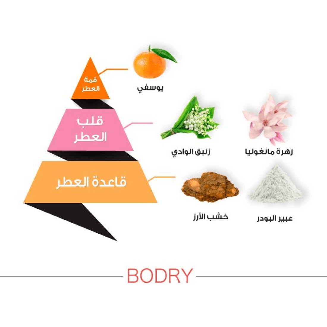 عطر بودري فوشيه من الماجد للعود - او دي برفيوم