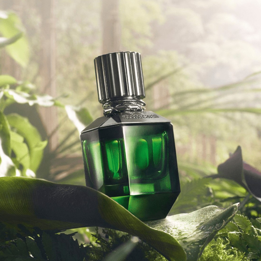 Roberto Cavalli Paradiso Found For Men- Eau de Toilette
