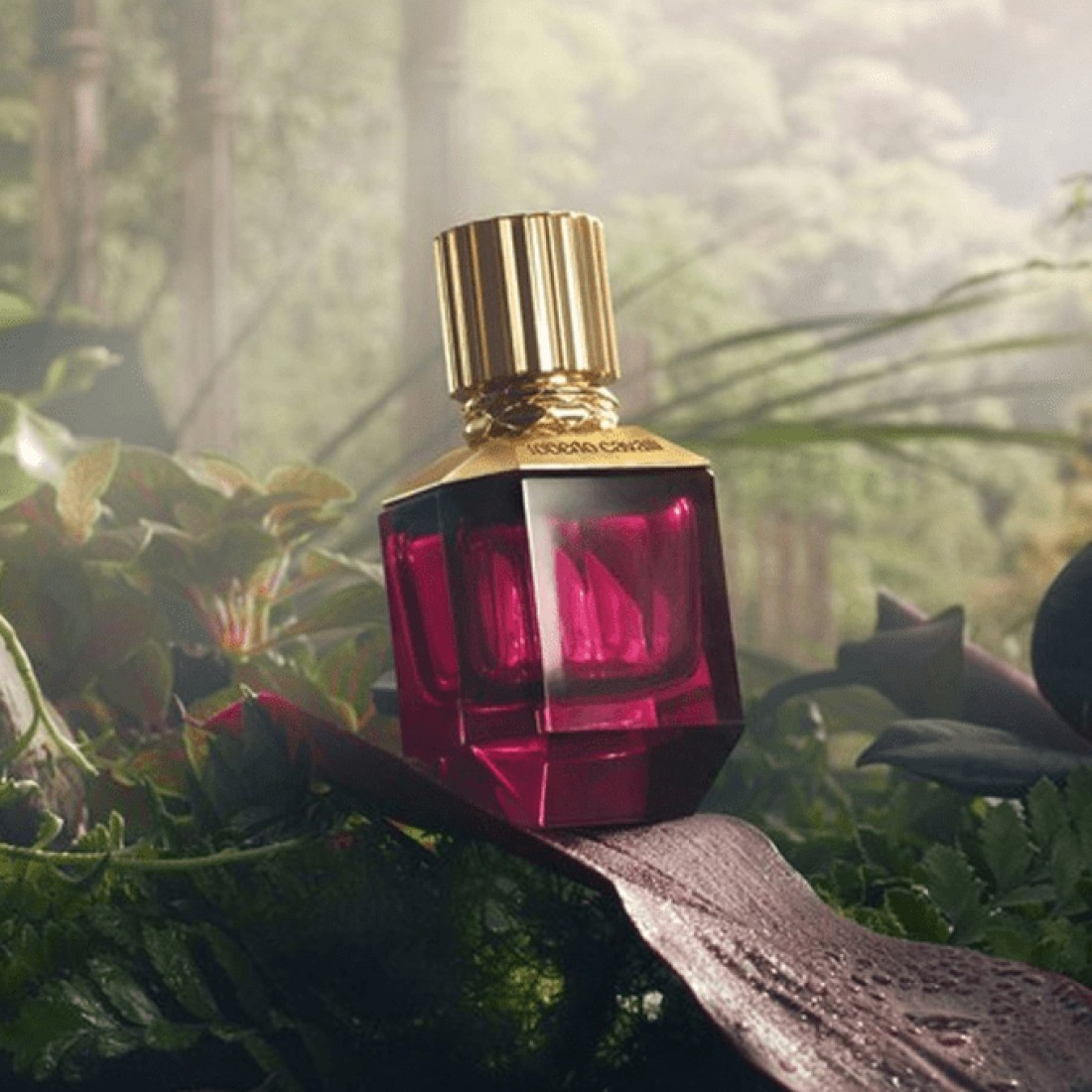 Roberto Cavalli Paradiso Found For Women - Eau de Perfum