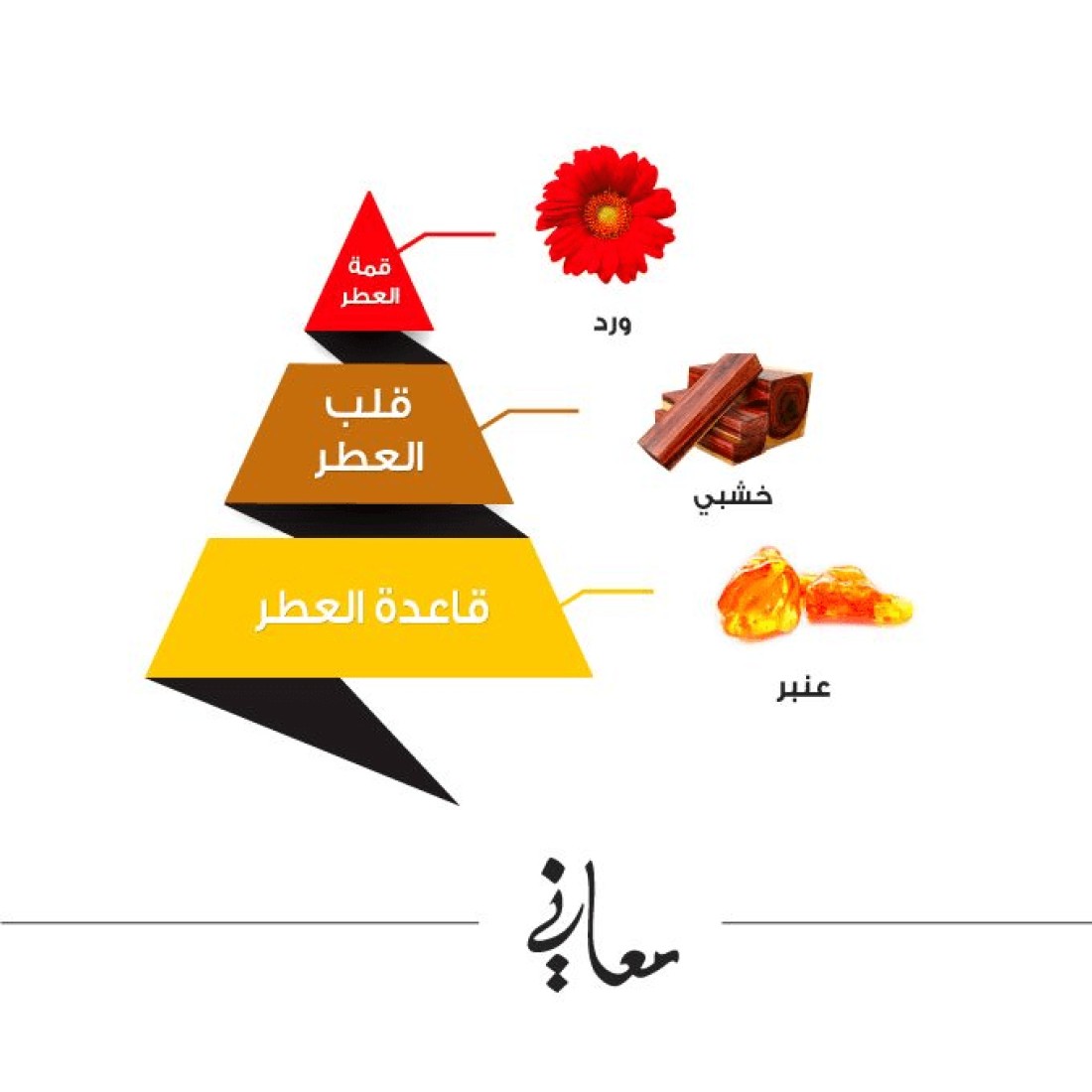 Almajed Oud Maany Perfume - Eau De Perfum