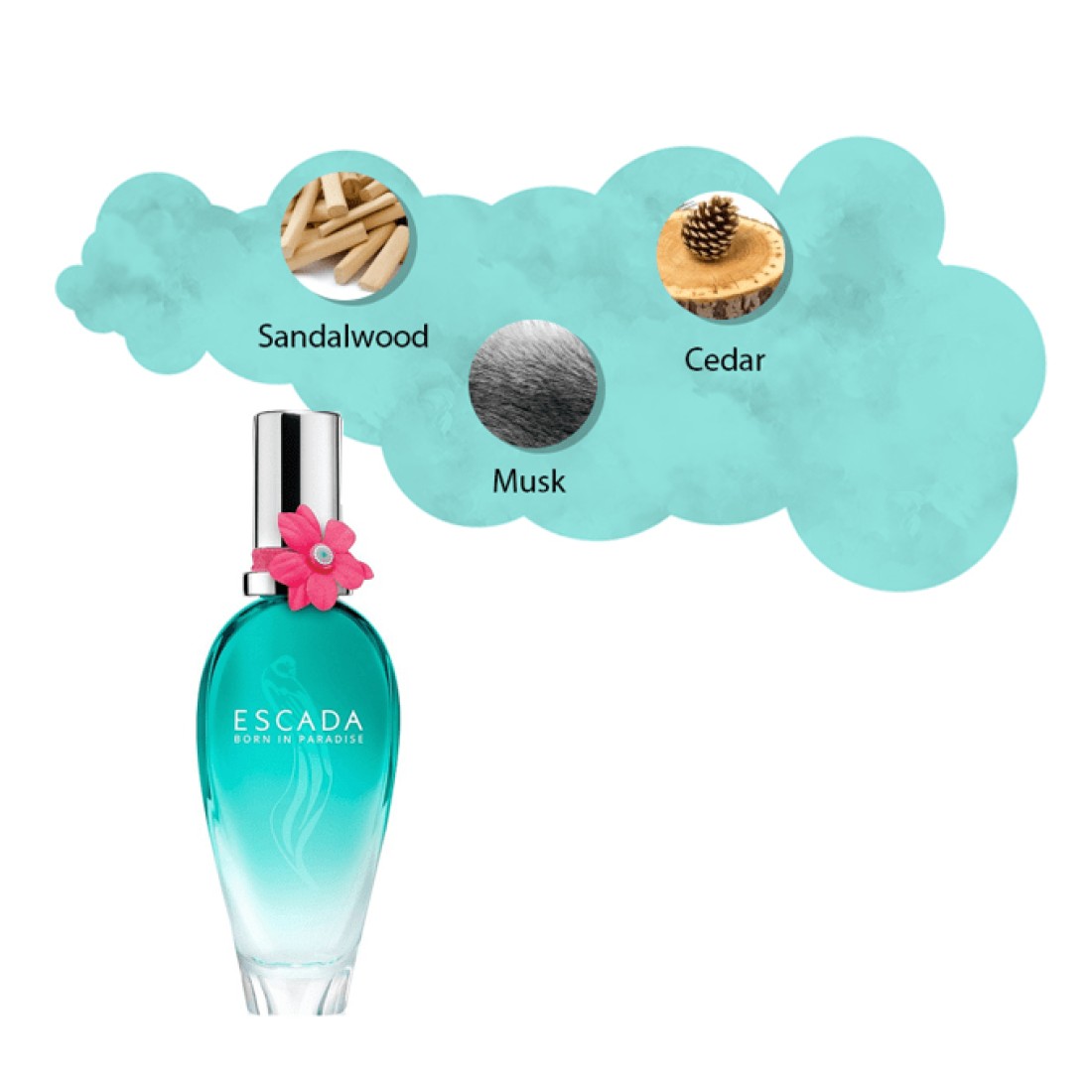 Escada Born in Paradise Women- Eau de Toilette - 50ml