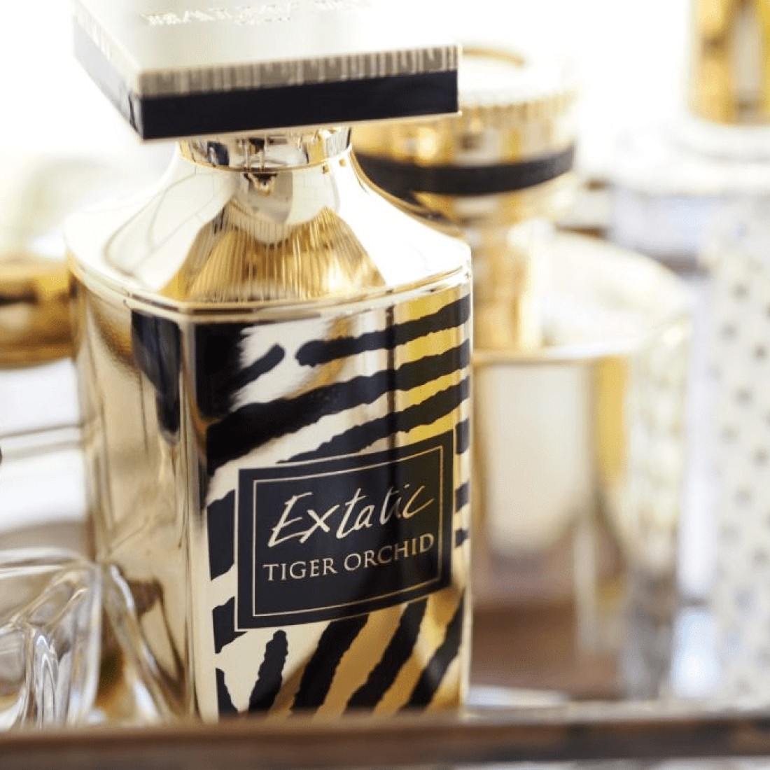 Balmain Extatic Tiger Orchid For Women - Eau de Parfum