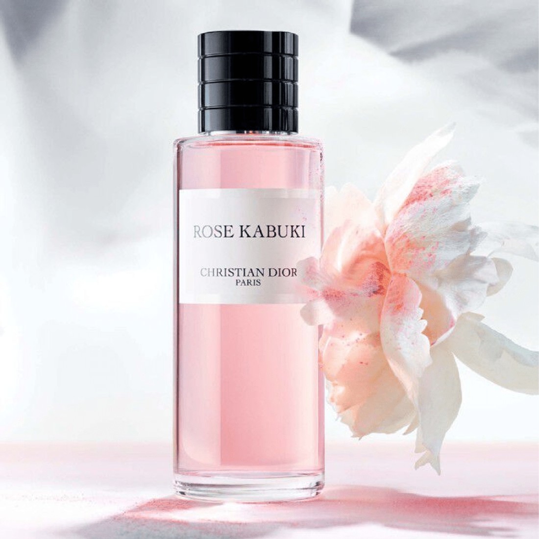 Dior Rose Kabuki for Women - Eau de Parfum