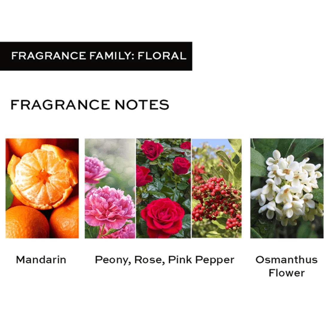 Revolution Love For Women - Eau De Toilette