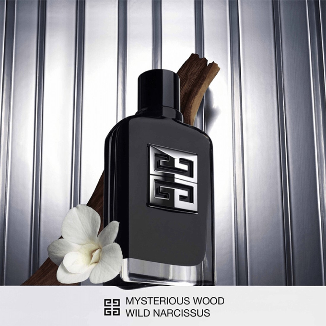 Givenchy Gentleman Society For Men - Eau de Parfum
