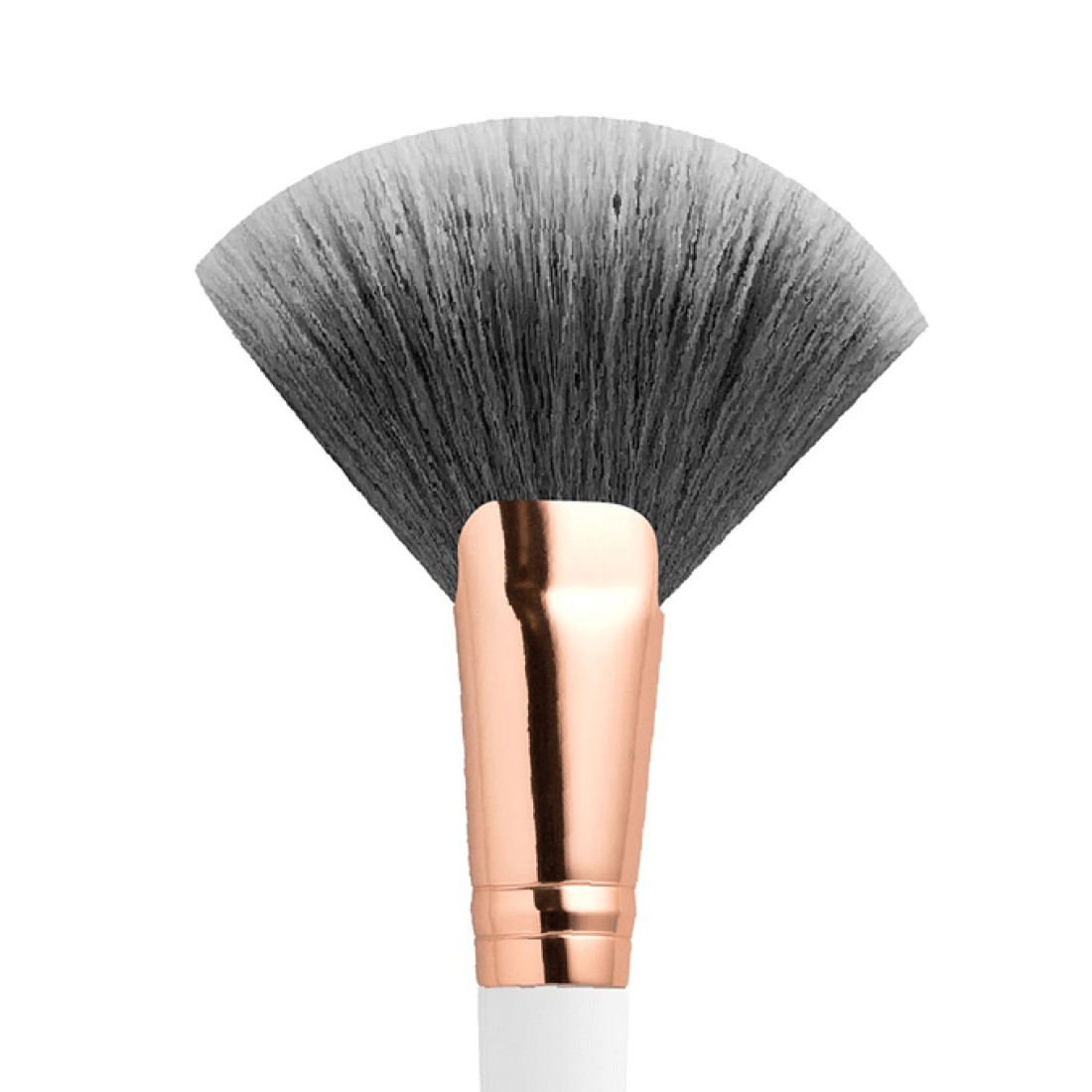 Topface Fan Brush - F22