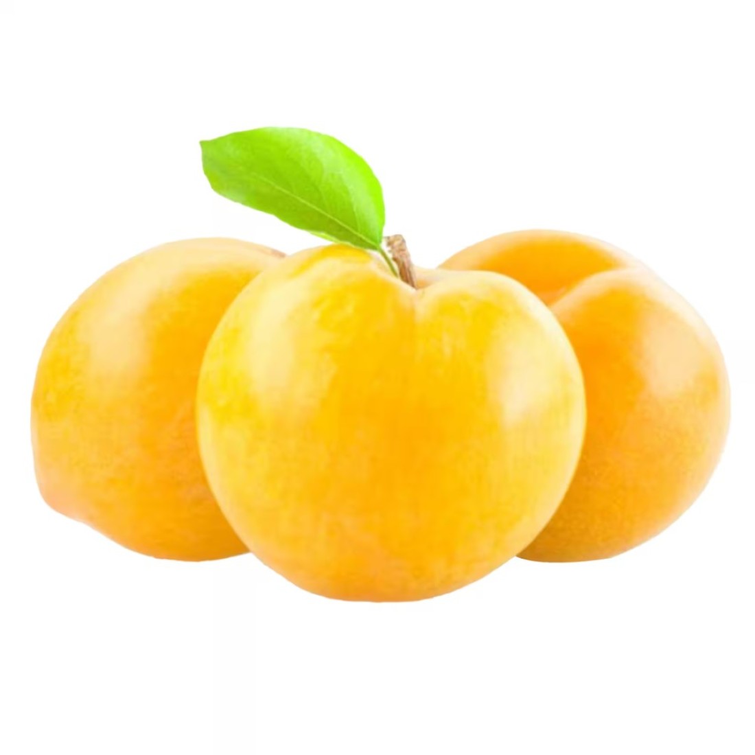 برقوق أصفر