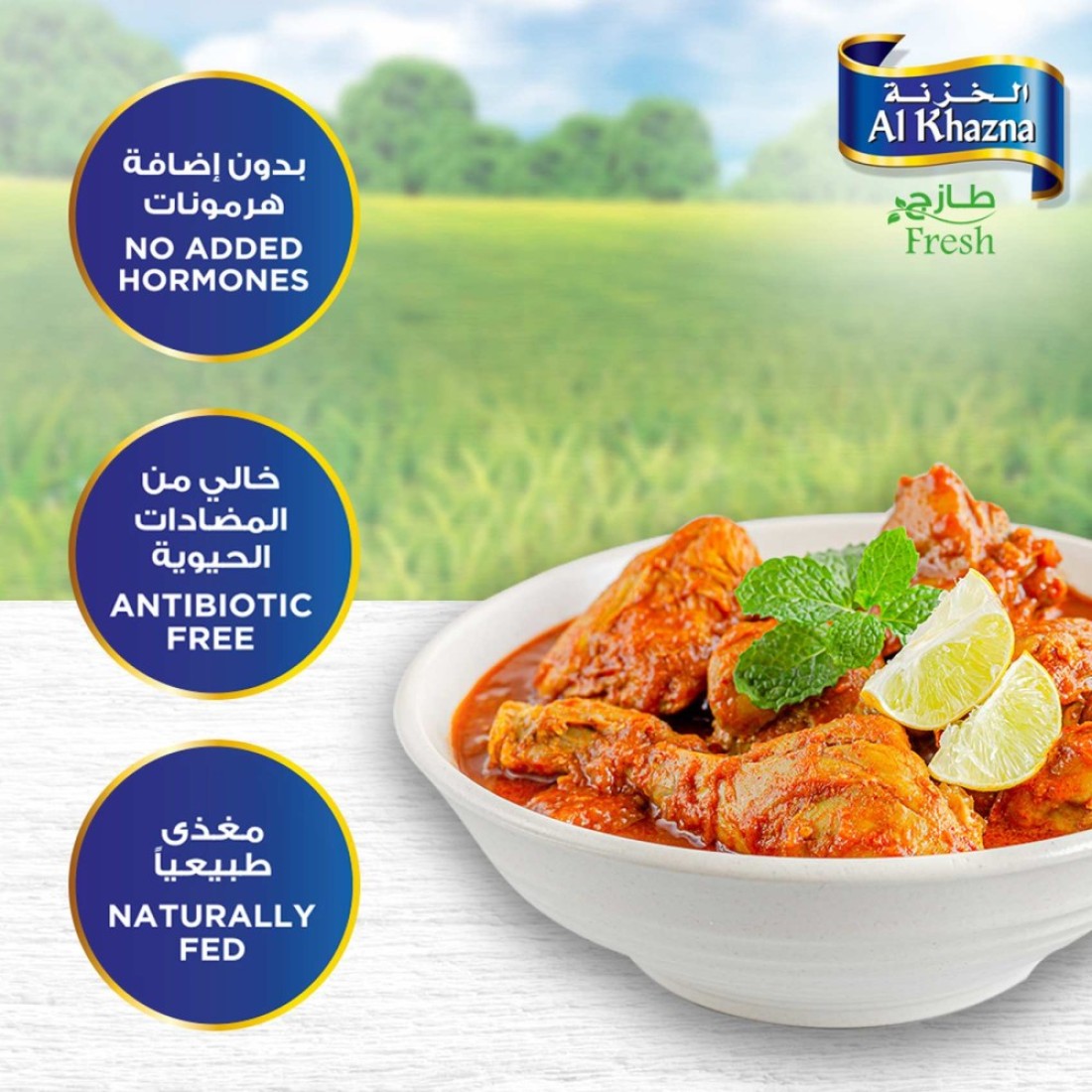 الخزنة قطع دجاج 12