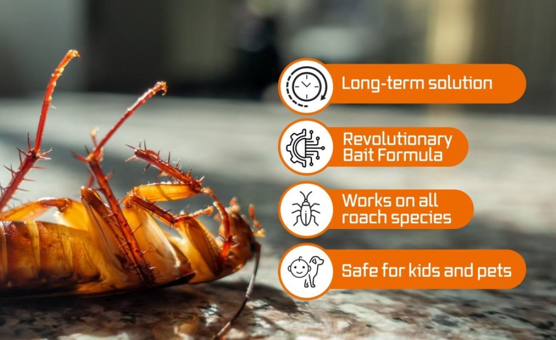 Advion Buy 2 Get 3 Cockroach Gel Bait Indoor &amp; Outdoor Use 30g