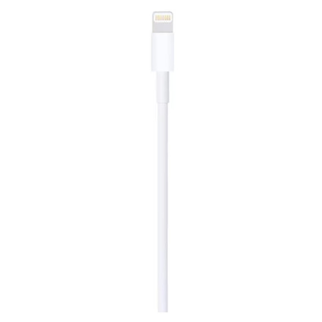 Apple Lightning To USB Cable White 1m