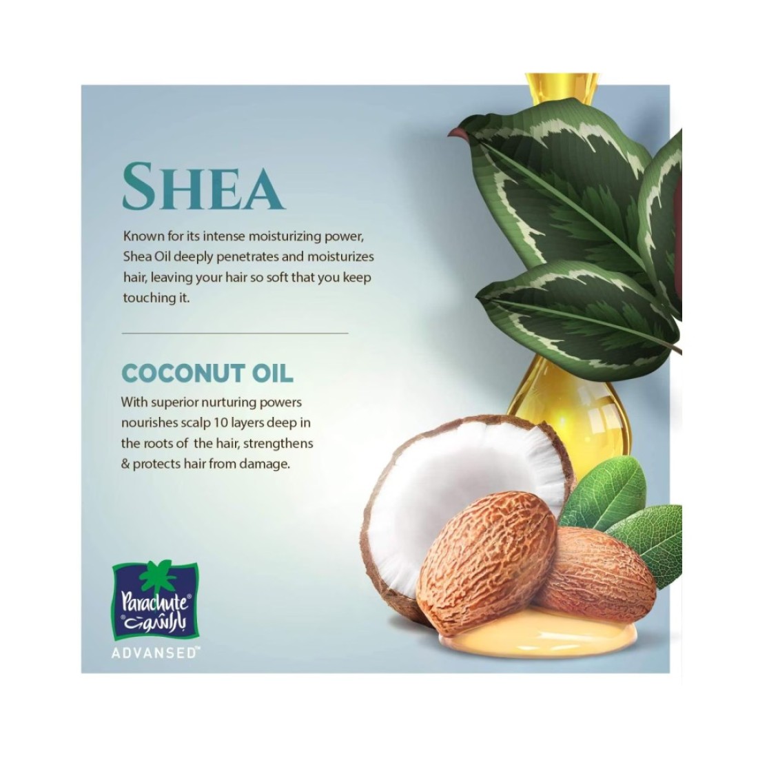 Parachute Advansed Shea Enriched Coconut Hair Oil Gold 300ml