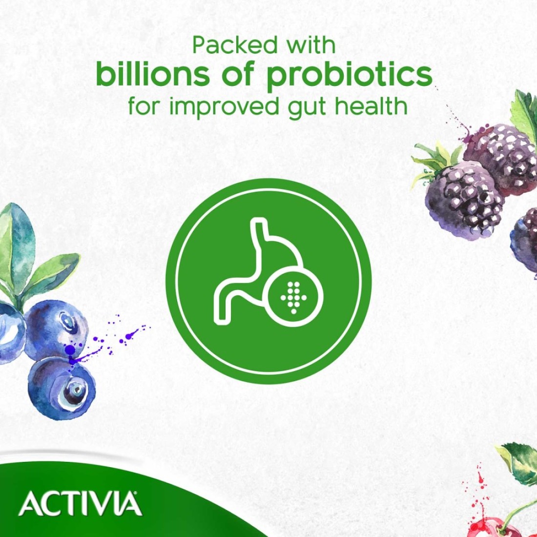 Activia Low Fat Plain Yoghurt 150g Pack of 6