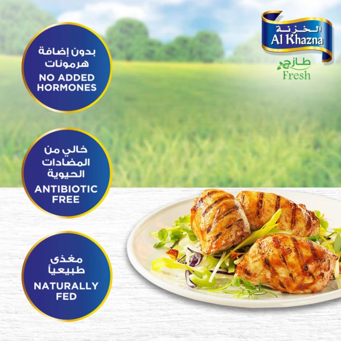 Al Khazna Fresh Boneless Chicken Thighs 500g