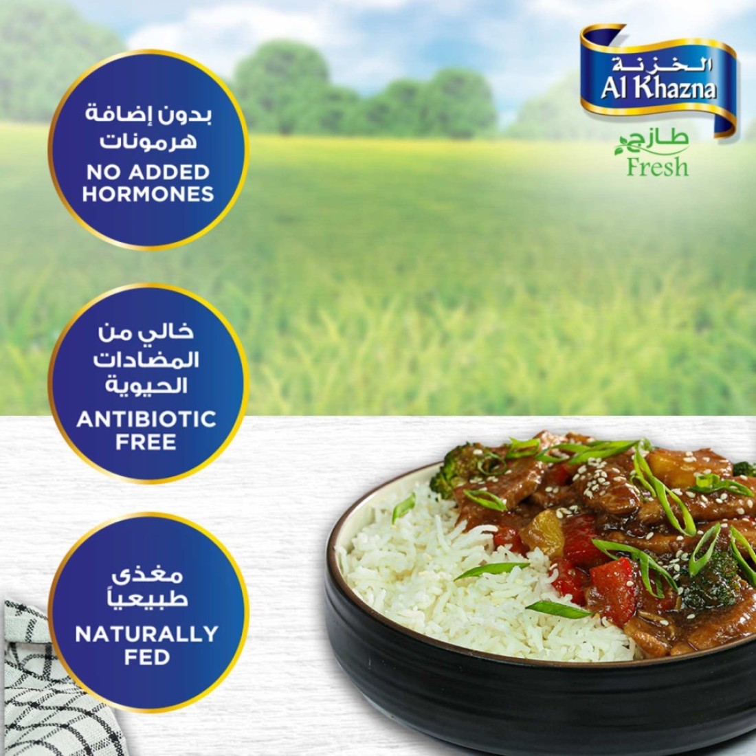 Al Khazna Fresh Chicken Breast Strips 500g