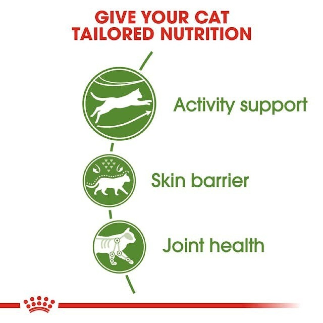 Royal Canin FHN Outdoor 2 kg Feline Breed Nutrition Cat Food
