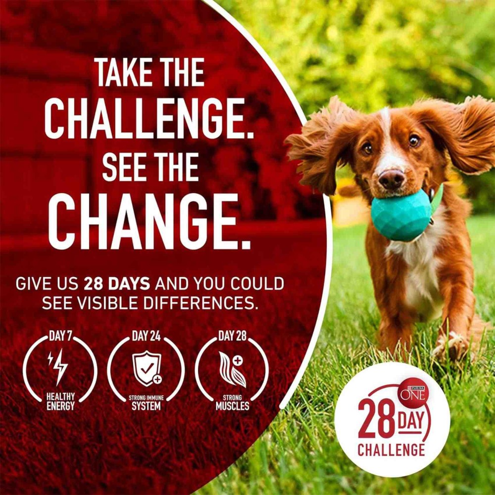 Purina ONE Chicken &amp; Rice Formula, Dog Food, 3.63kg