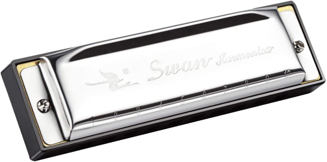 Mike Music Swan 10 Hole 20 Tones Harmonica Key of C Blues,Mini Harmonica for Beginners (C 10)