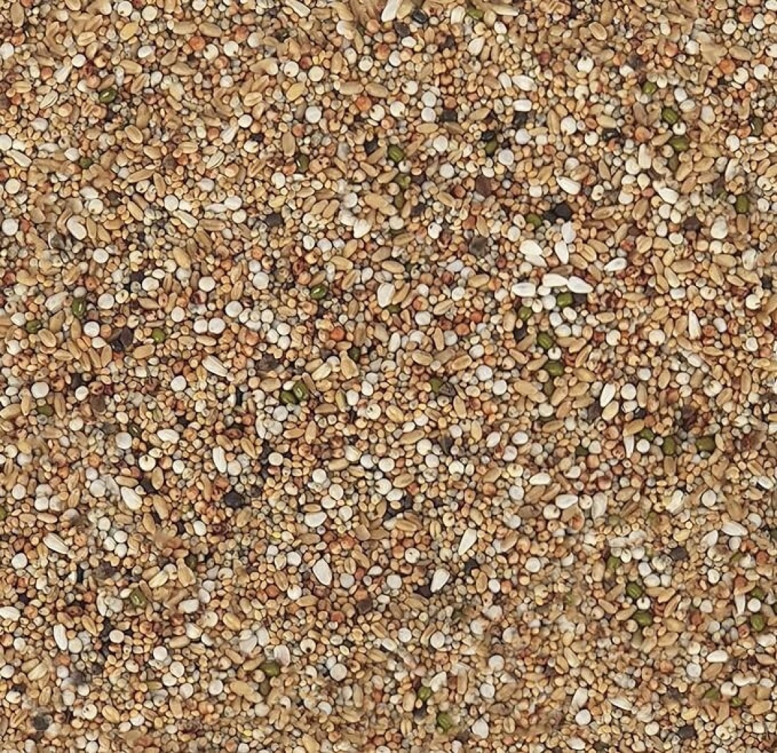 Egardenkart&reg; Economic Bird Food Mix wild bird food Small bird Pigeon Seed mix (10, Small Seeds Mix)