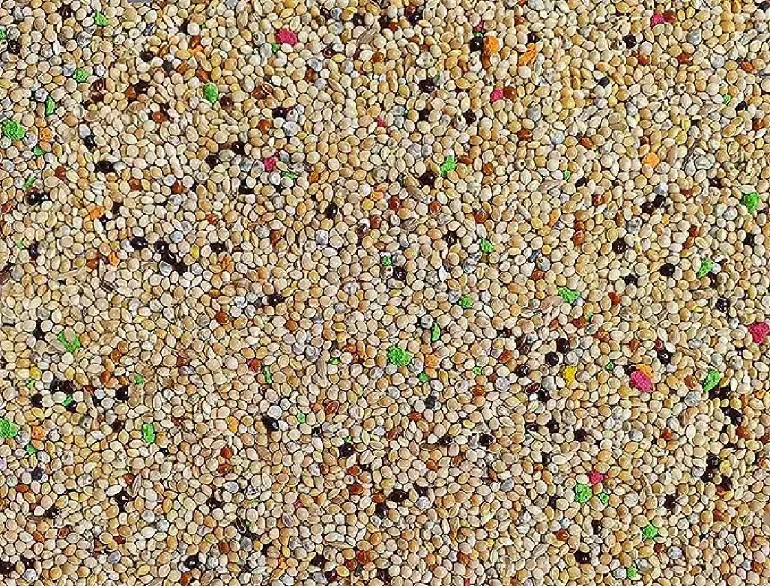 Egardenkart&reg; Bird Food Small bird Budgie finches canaries hookbills doves quail and sparrows Seed mix (1kg, Budgie)
